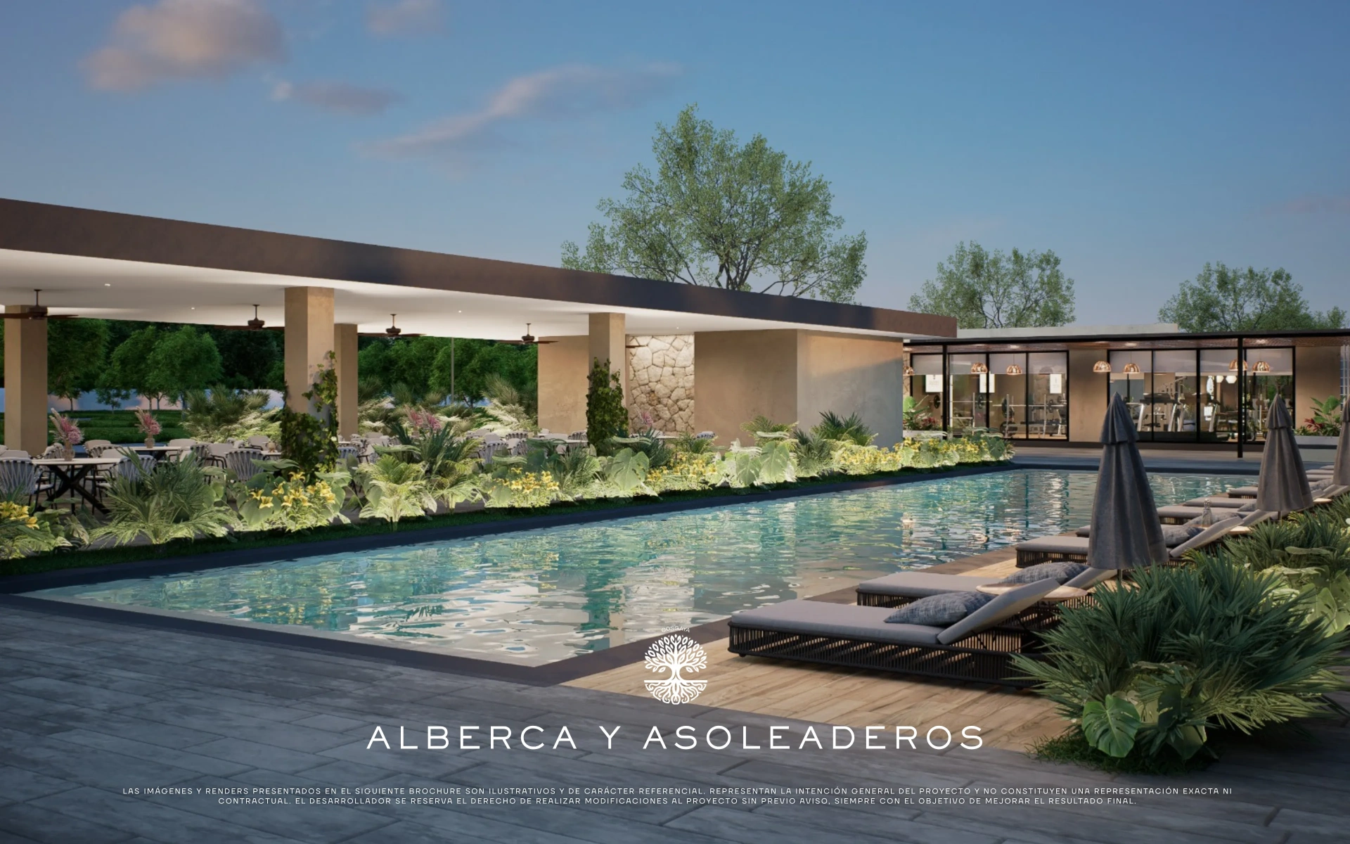 Alberca y asoleaderos